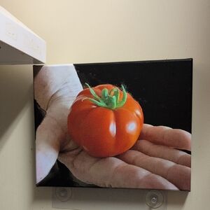 Tomato Canvas Wall Art